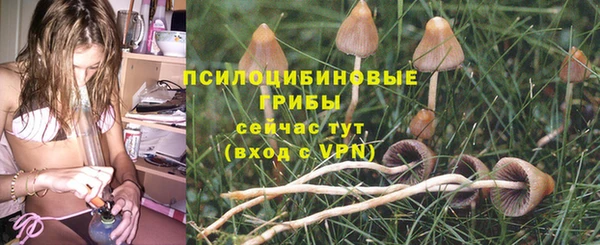 PSILOCYBIN Бородино